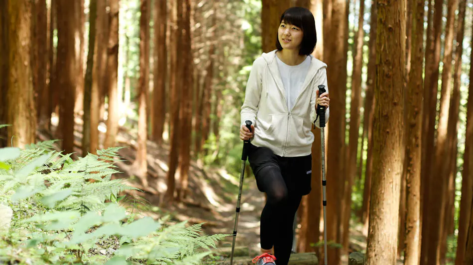 Asan Kotonami