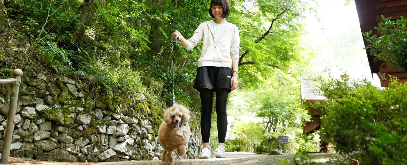 四国 ペットと泊まれる宿 宿泊予約は 一休 Com