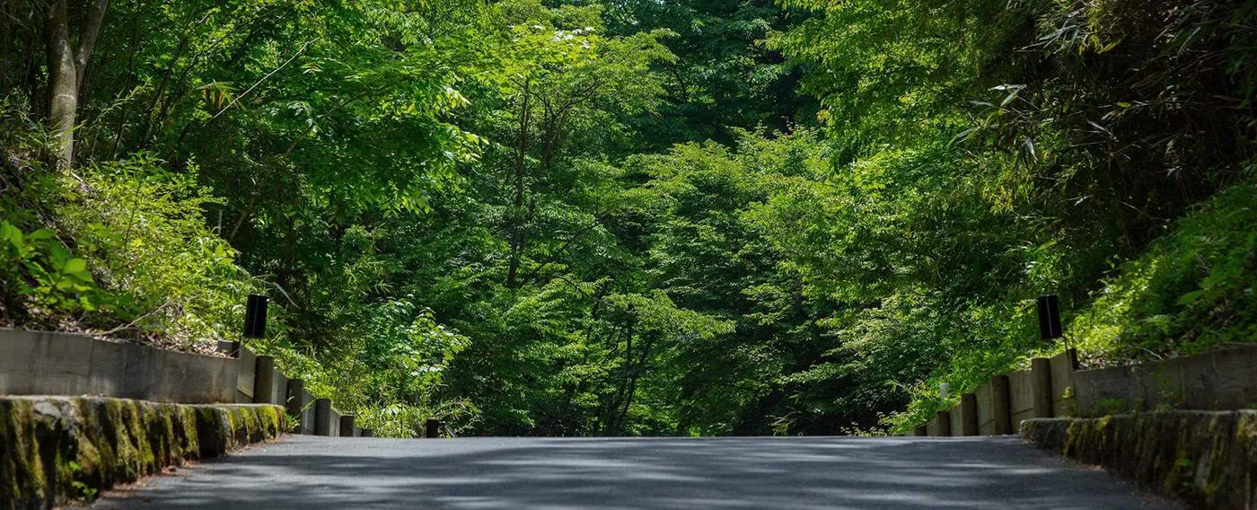 ガーデン・テラス