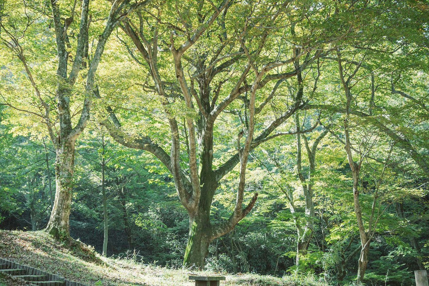 KANAYA RESORT HAKONE