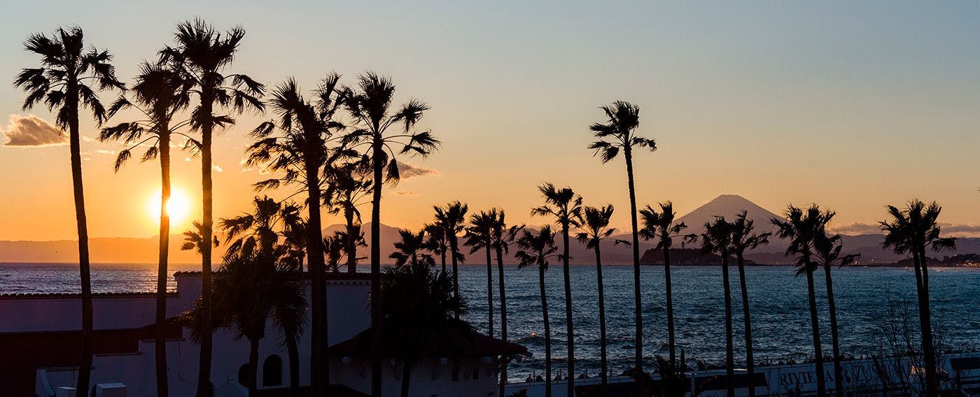 MALIBU HOTEL