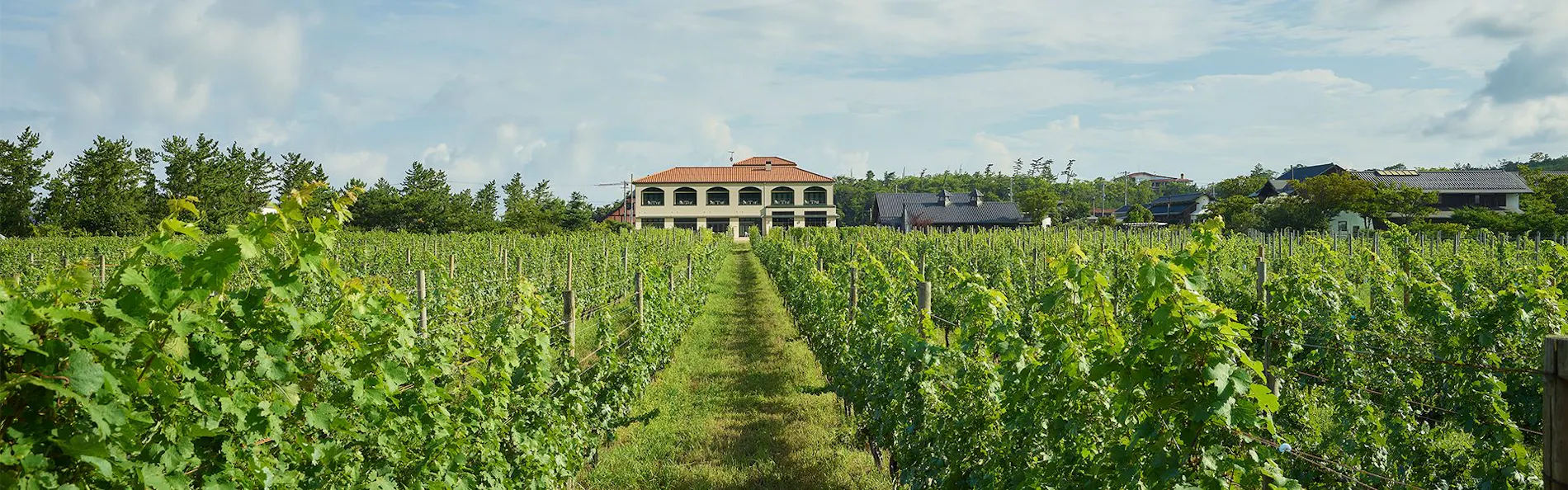 WineryStay トラヴィーニュ byカーブドッチ