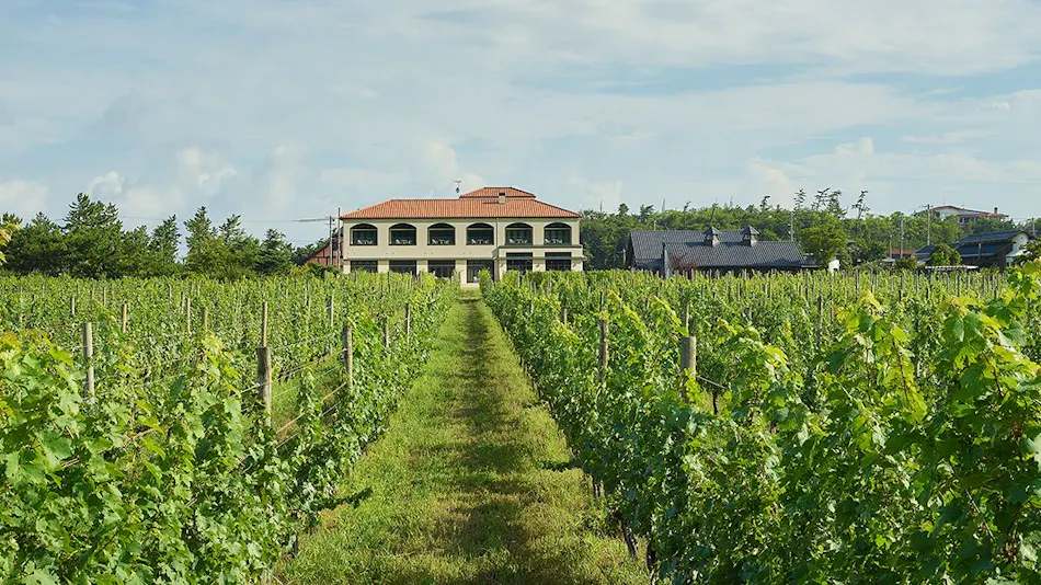 Winerystay TRAVIGNE