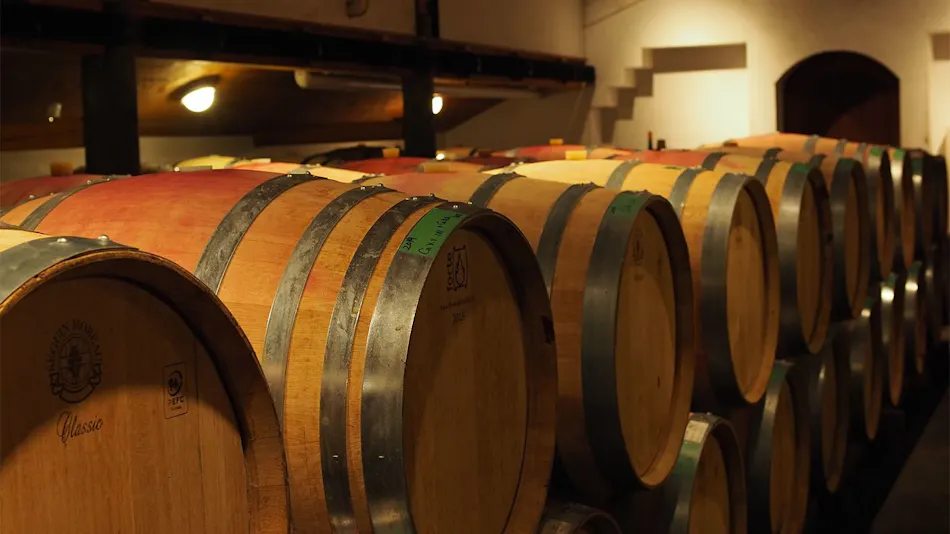 Winerystay TRAVIGNE