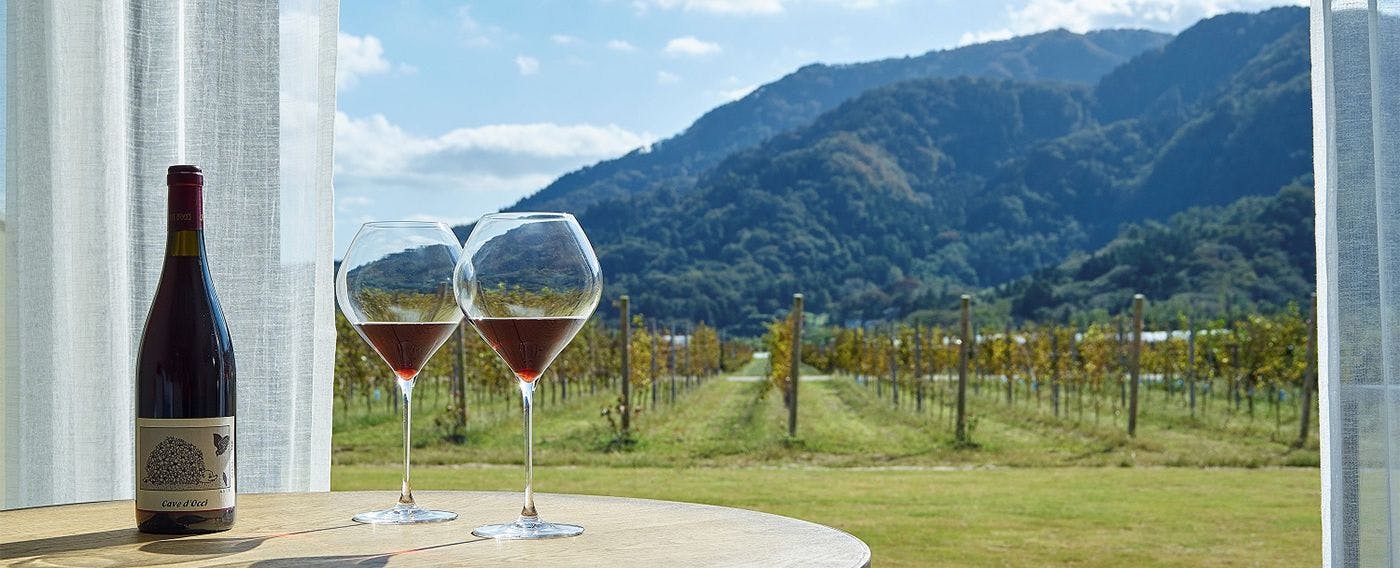 WineryStay トラヴィーニュ byカーブドッチ