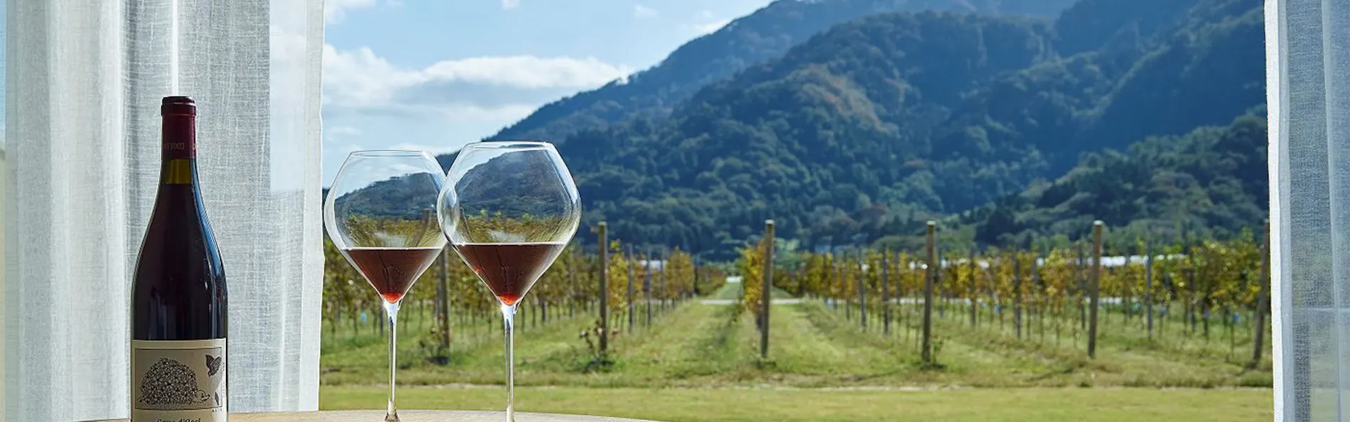 WineryStay トラヴィーニュ byカーブドッチ