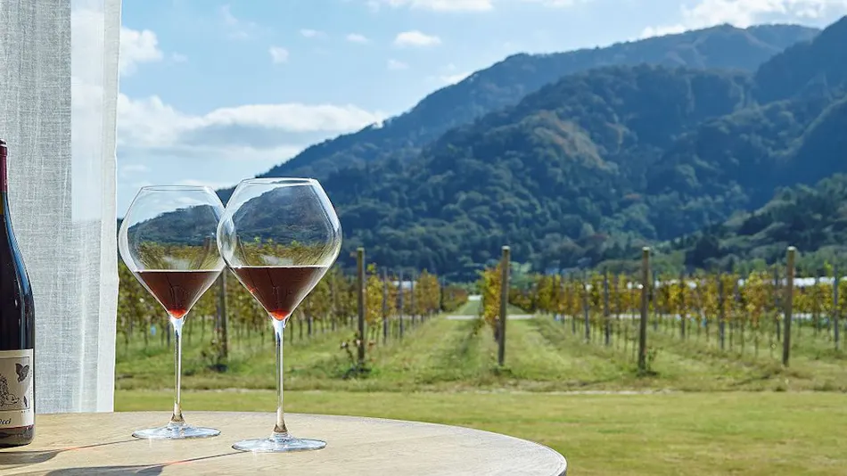 Winerystay TRAVIGNE