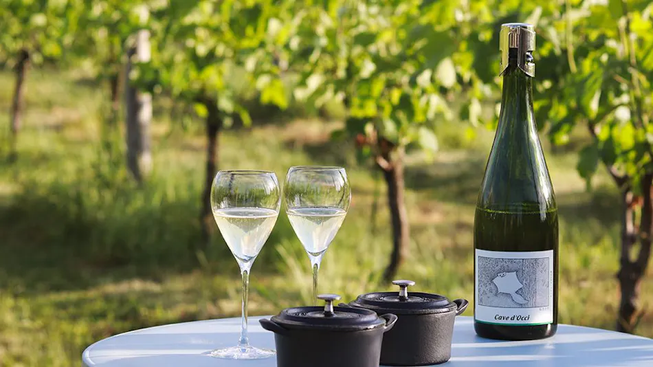 Winerystay TRAVIGNE