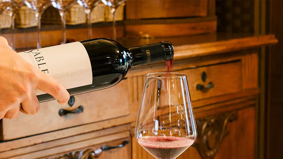 Winerystay TRAVIGNE