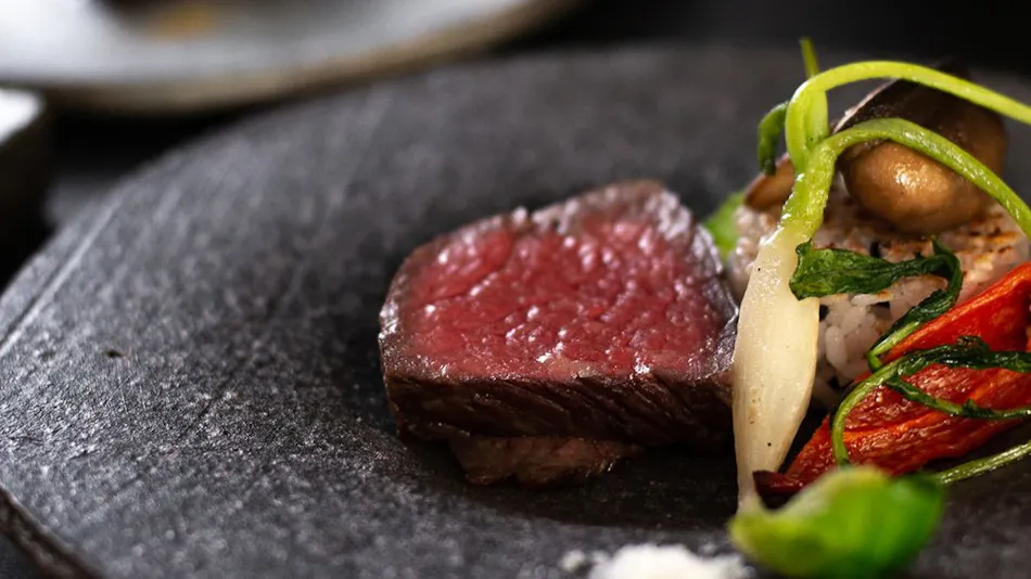 NIPPONIA HOTEL 伊賀上野 城下町