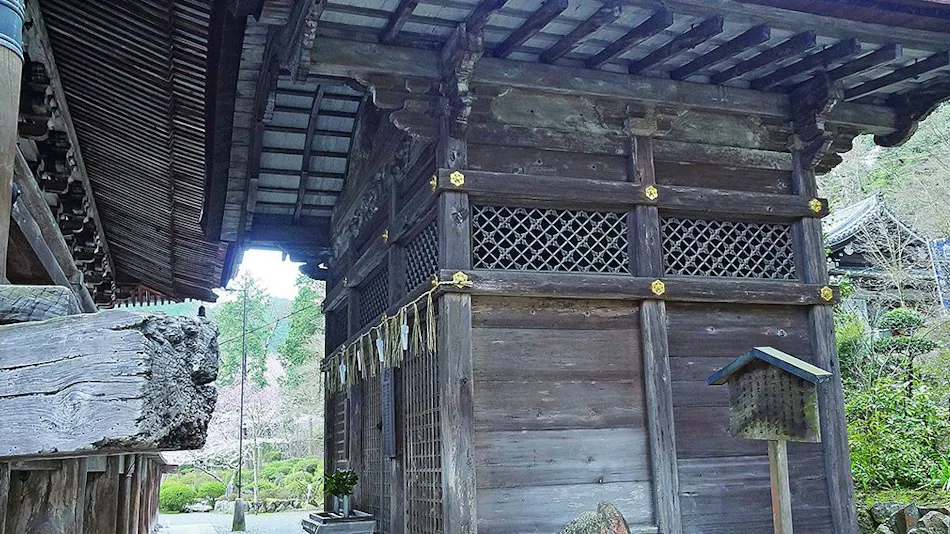 Waqoo Miidera