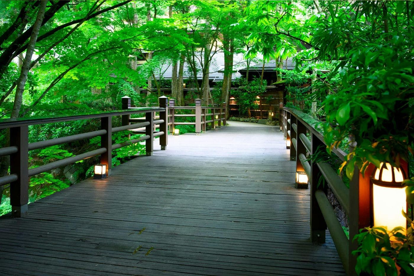 里山に癒される理想土