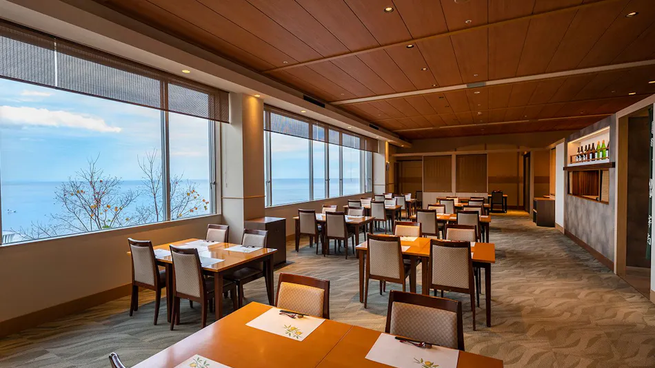 Hotel New Akao