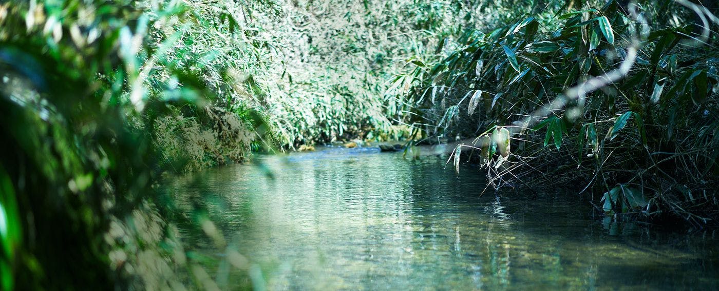 บริเวณโดยรอบ