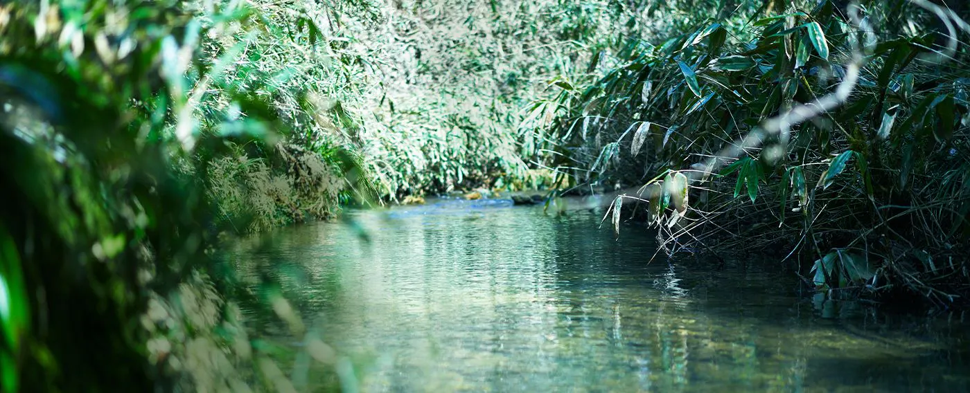 บริเวณโดยรอบ