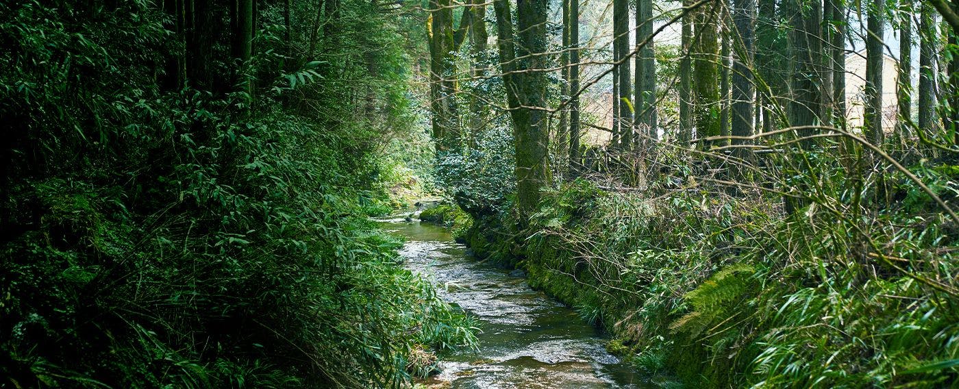 บริเวณโดยรอบ