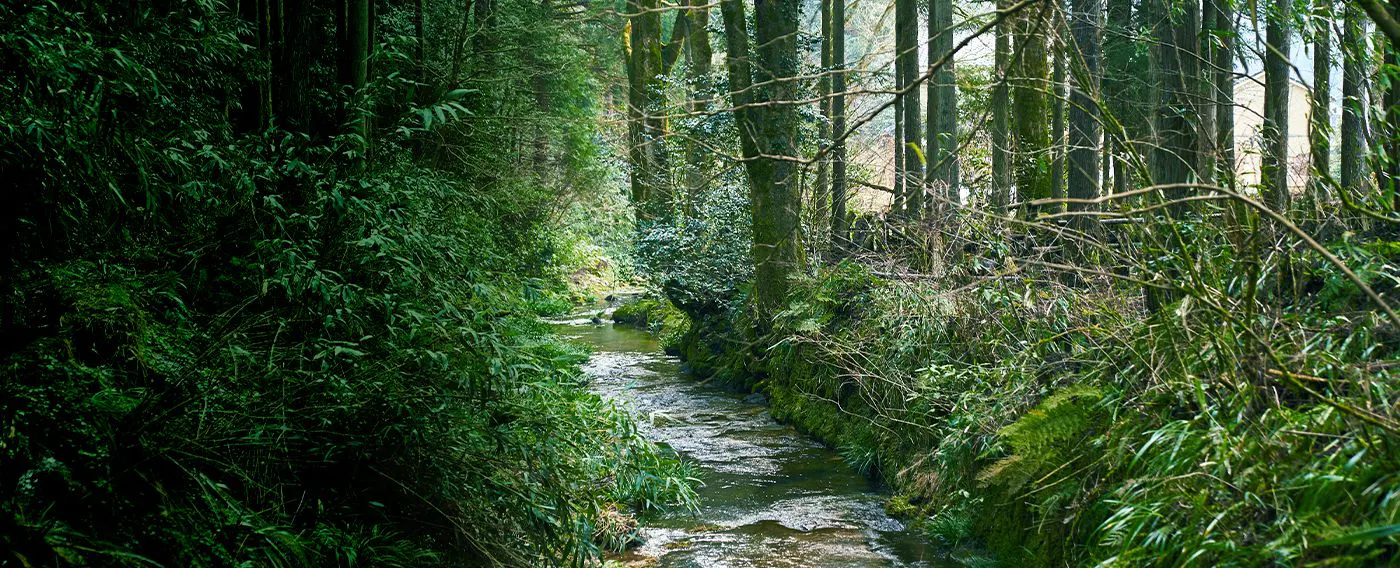 บริเวณโดยรอบ