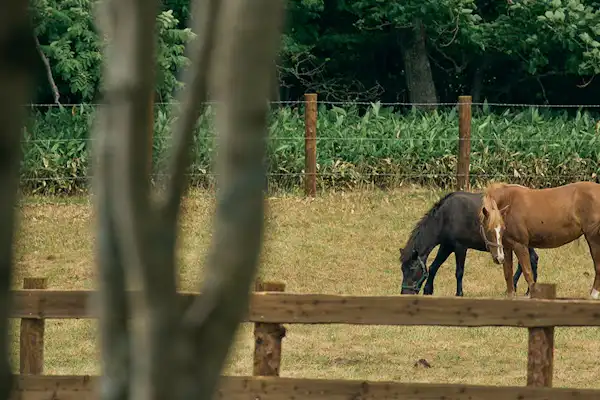 ภายนอกอาคาร