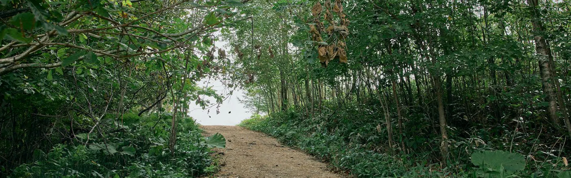 TAPKOP