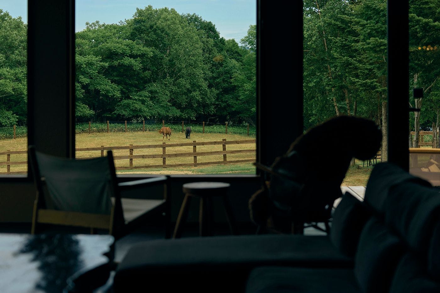 馬と過ごす特別な滞在