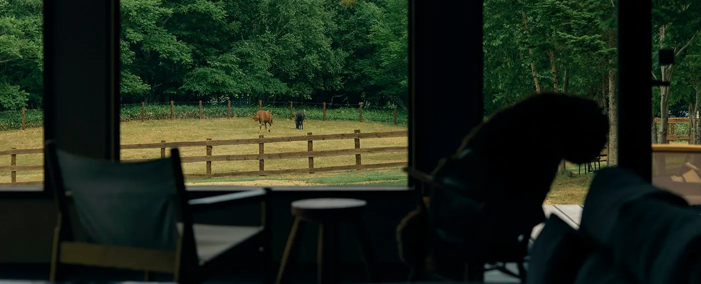 馬と過ごす特別な滞在