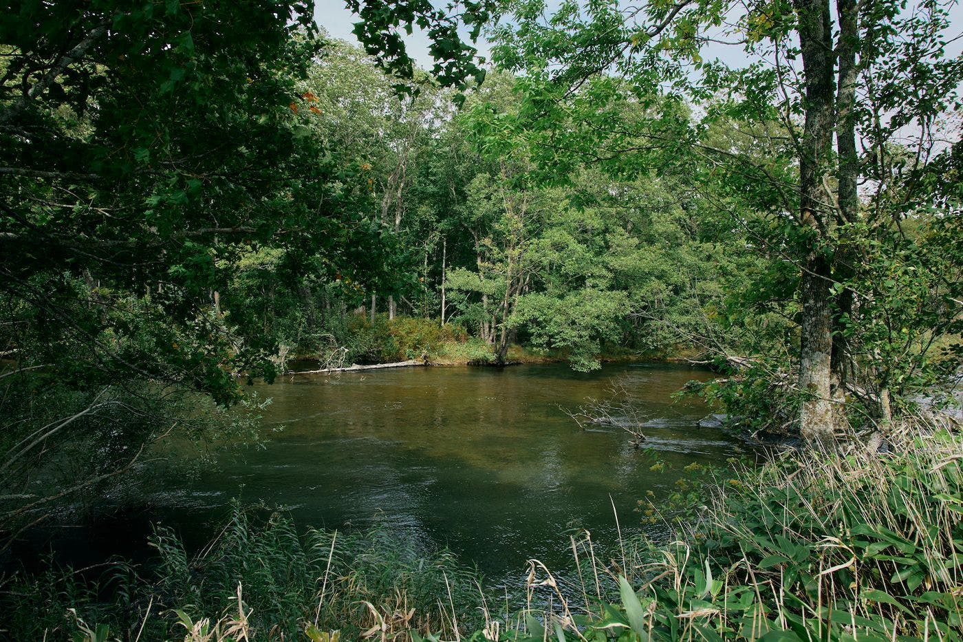 TAPKOP