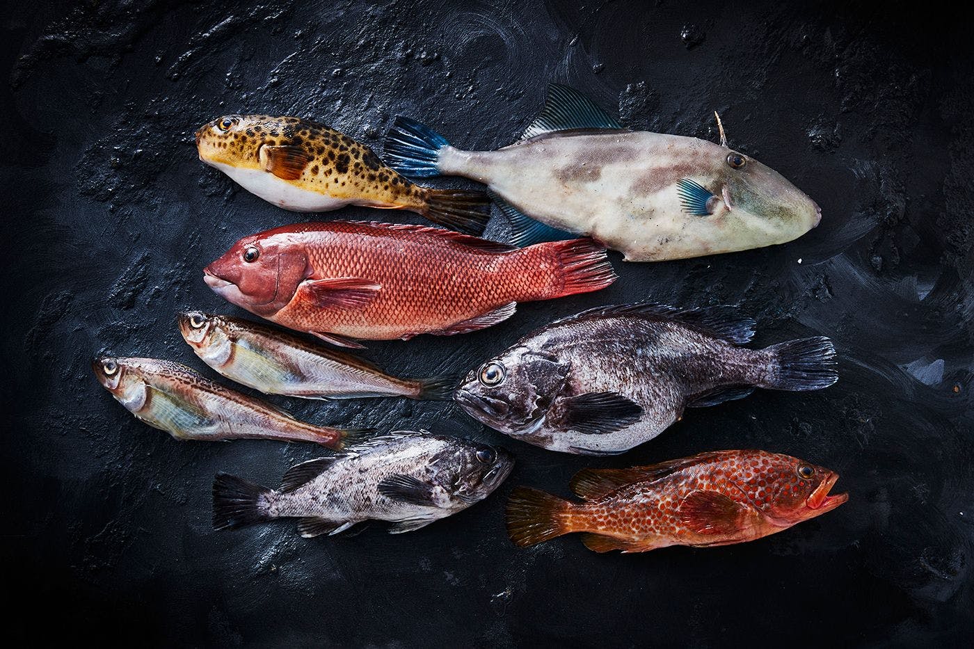 วัตถุดิบ