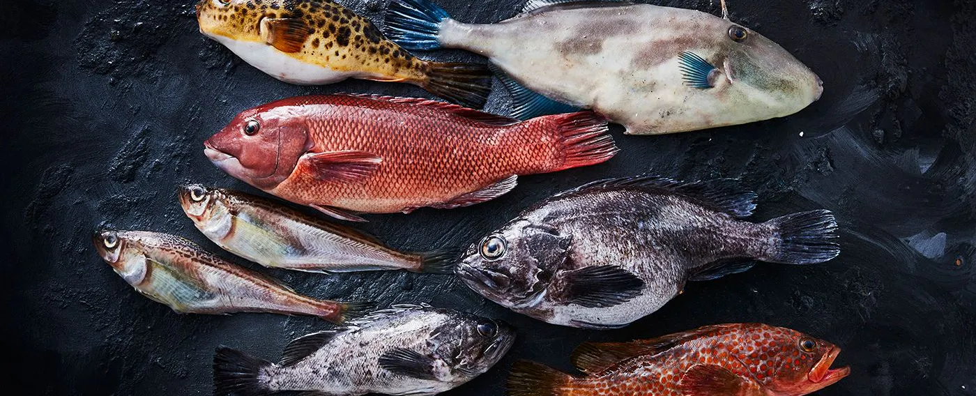 วัตถุดิบ