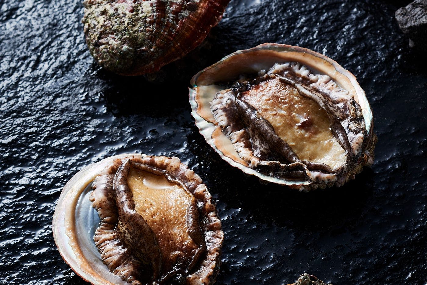 วัตถุดิบ