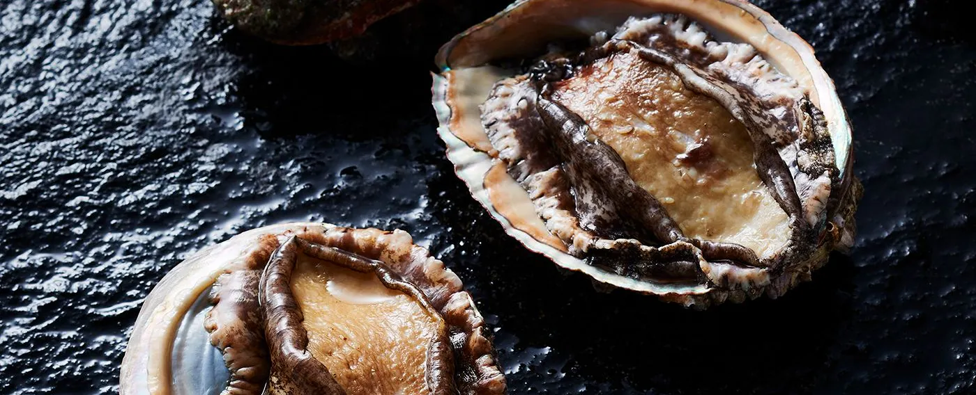 วัตถุดิบ