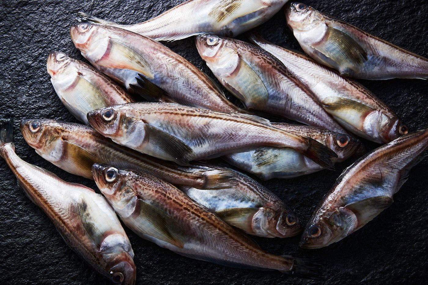 วัตถุดิบ