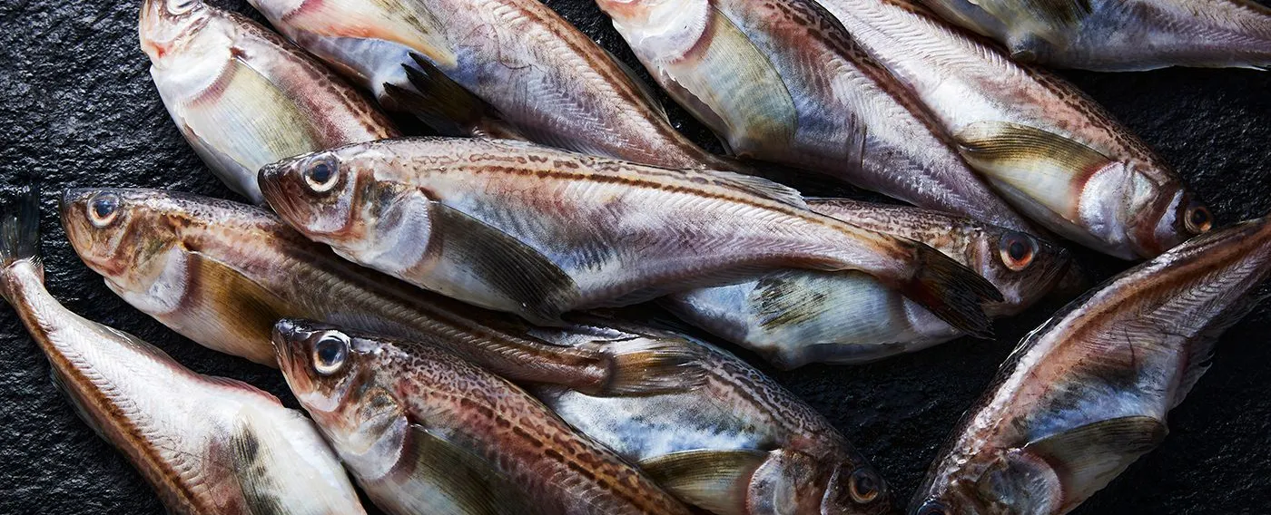 วัตถุดิบ