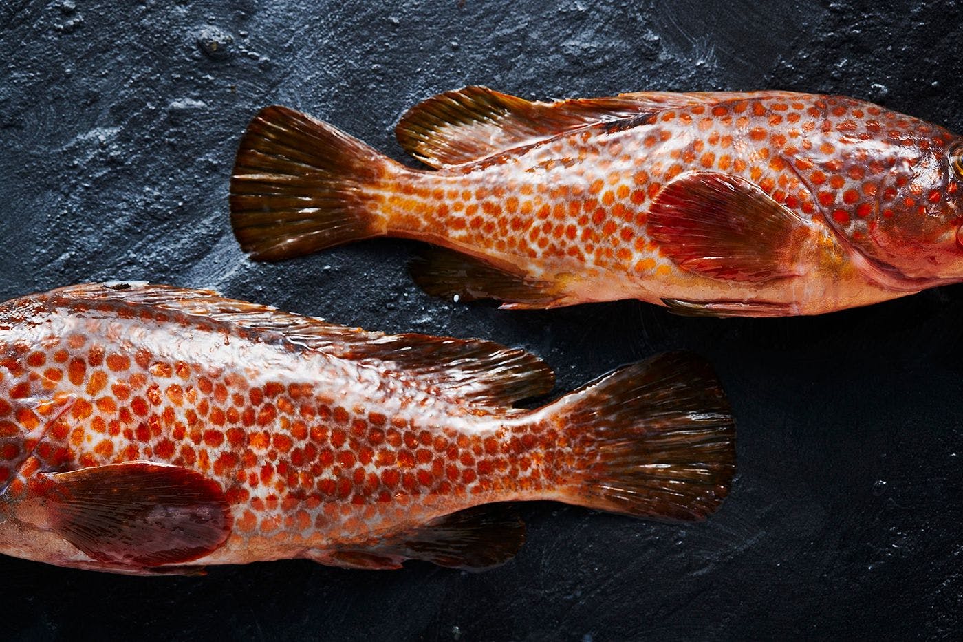 วัตถุดิบ