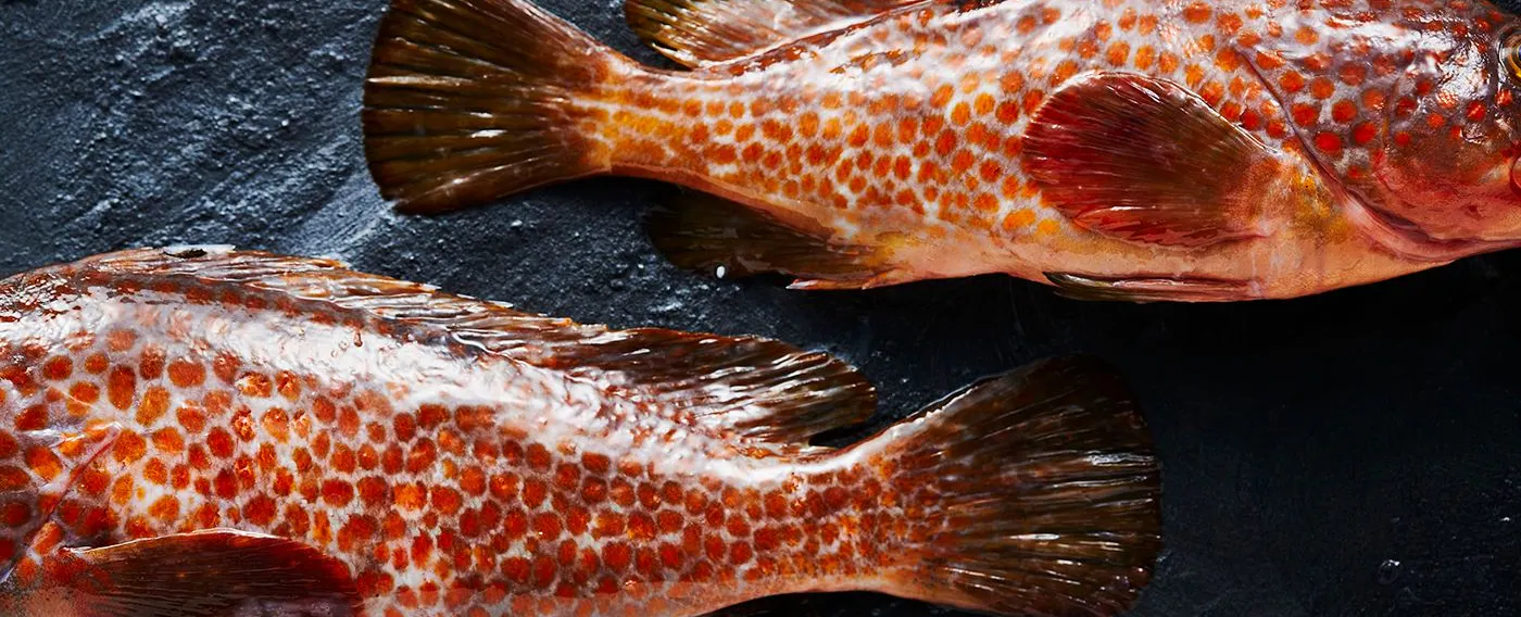 วัตถุดิบ