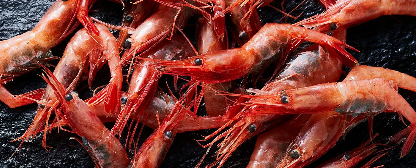 วัตถุดิบ