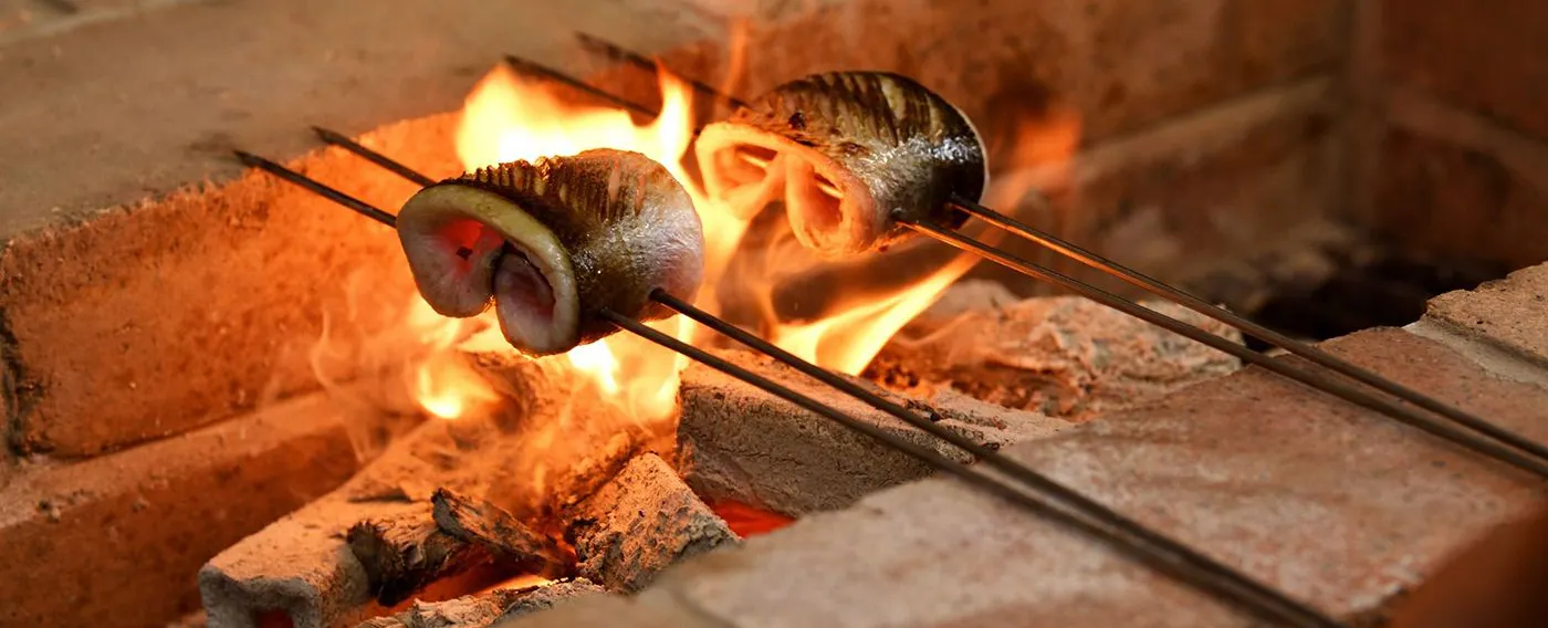 รูปภาพ e_ss_06_250905.JPG