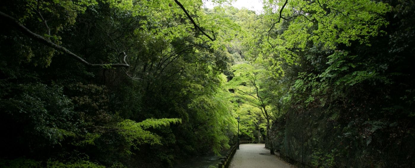 ที่ตั้ง