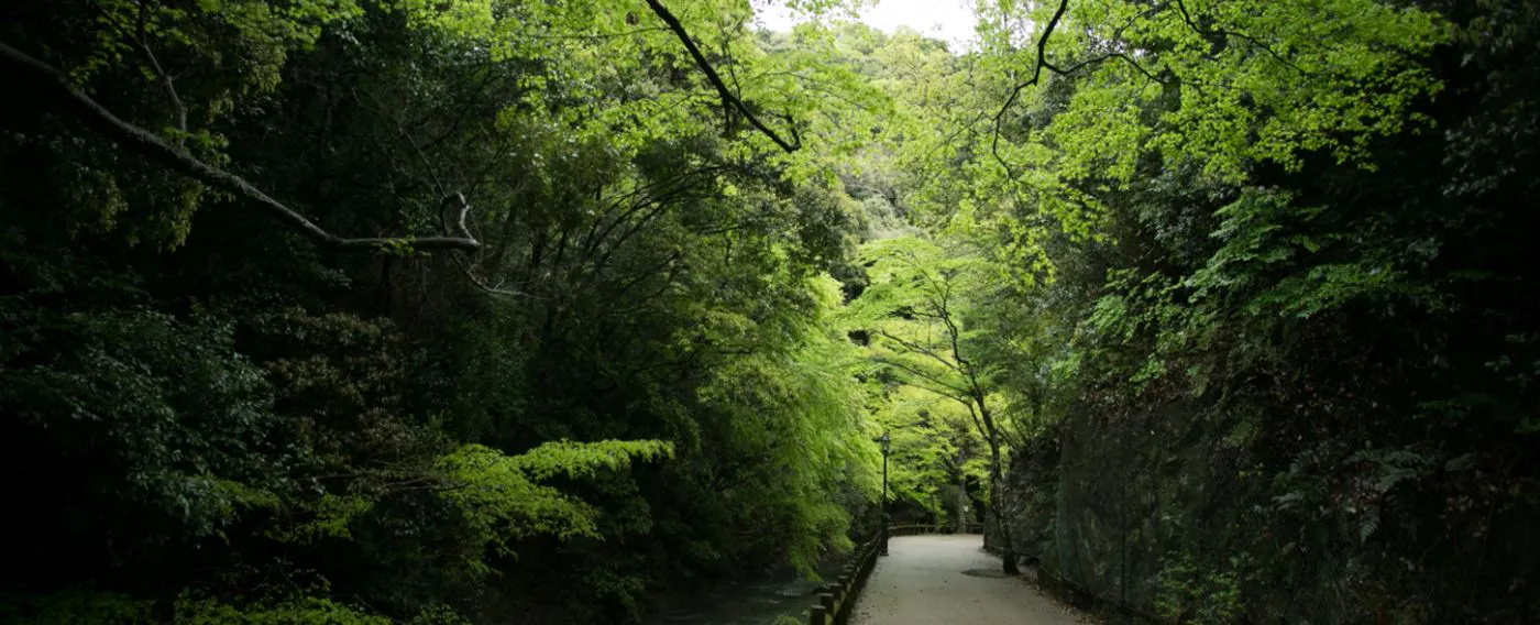 ที่ตั้ง