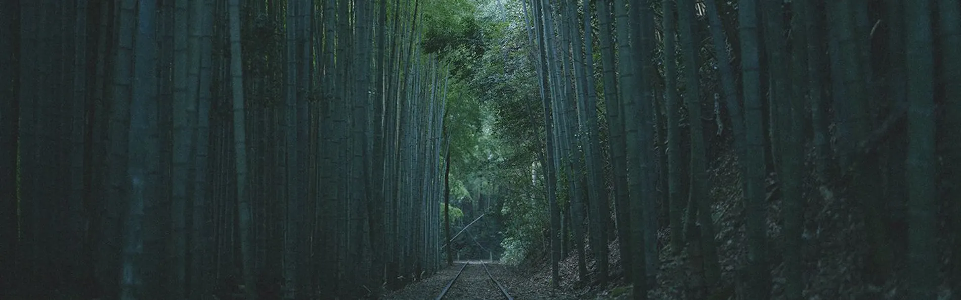 風の 倉吉