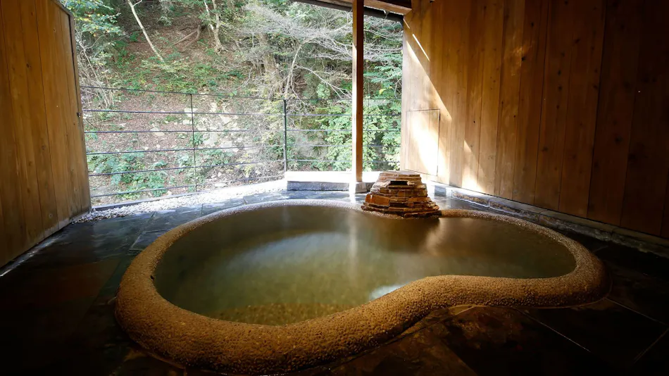 Shima Onsen Hinatamikan