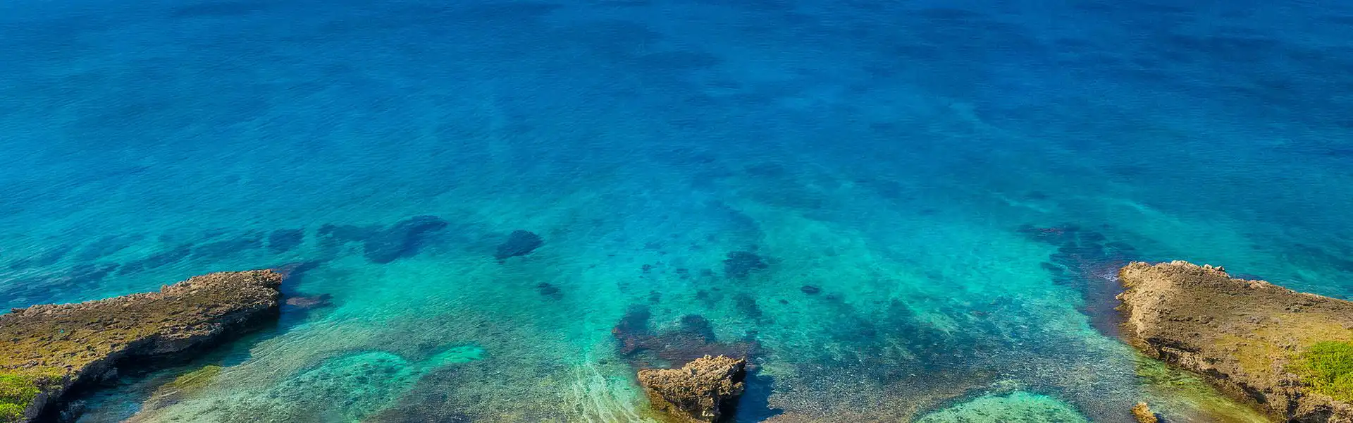 海