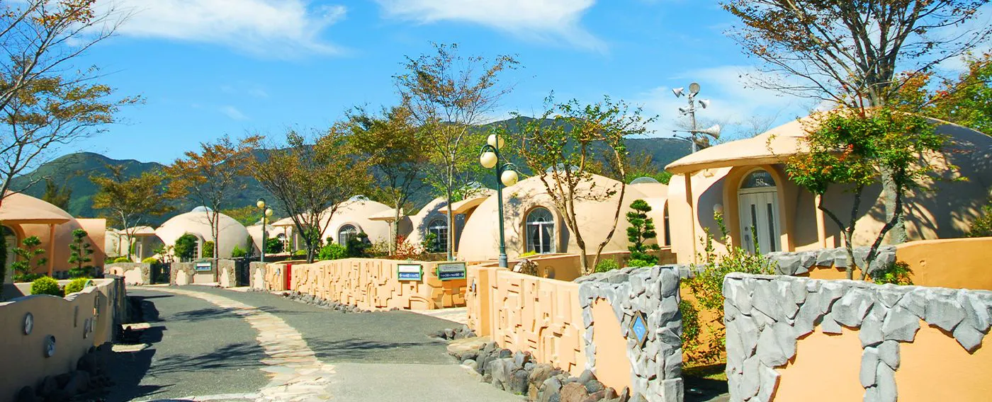 รูปลักษณ์ภายนอกแบบรอยัล