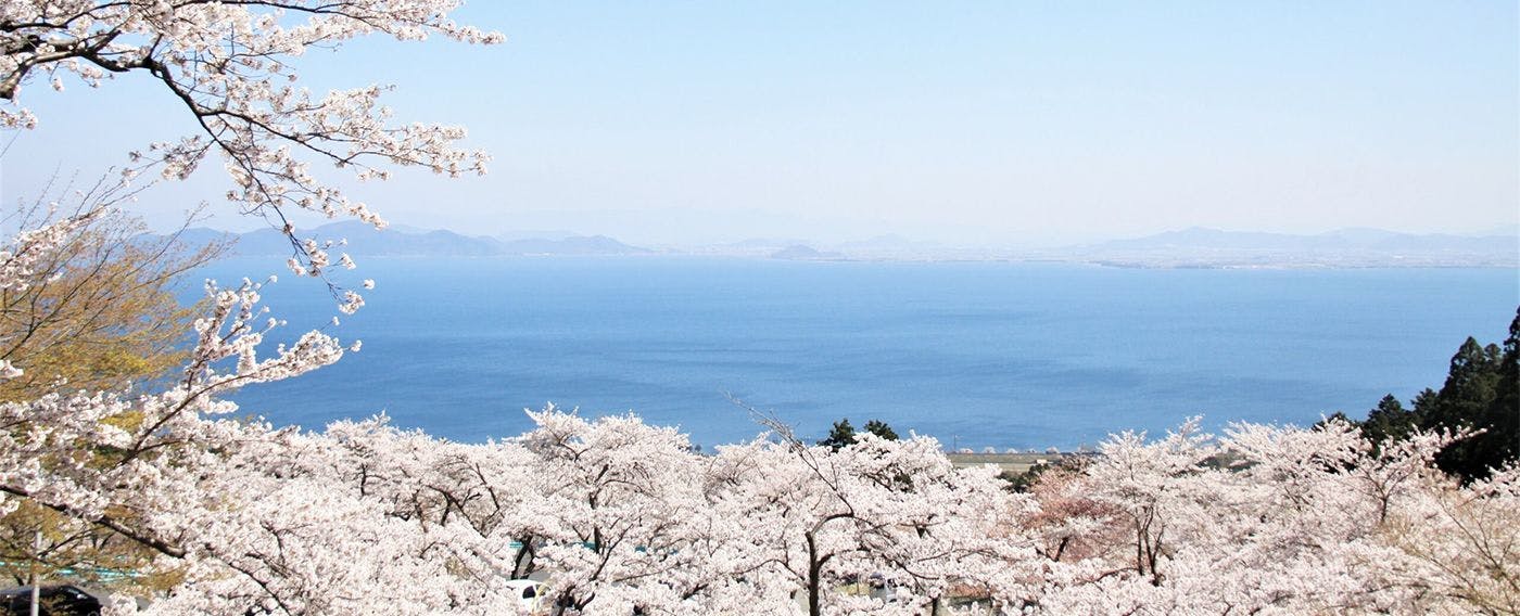 Biwako Valley Sakura