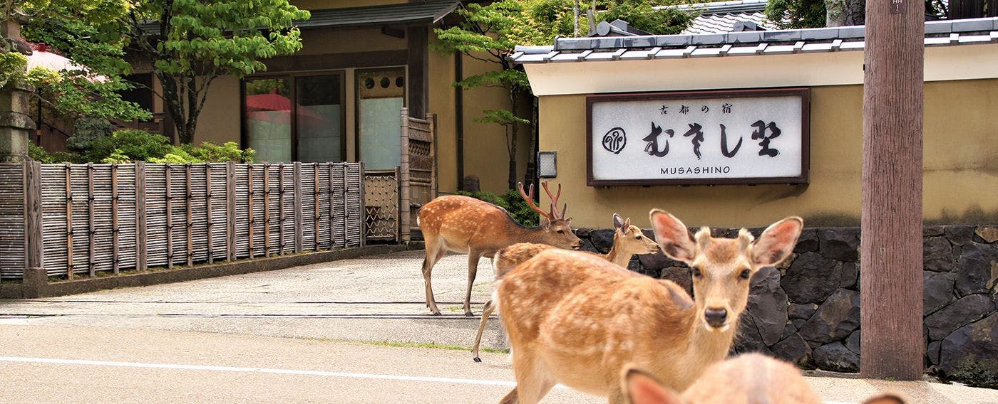 Koto no Yado Musashino