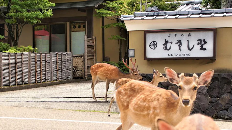 Koto no Yado Musashino