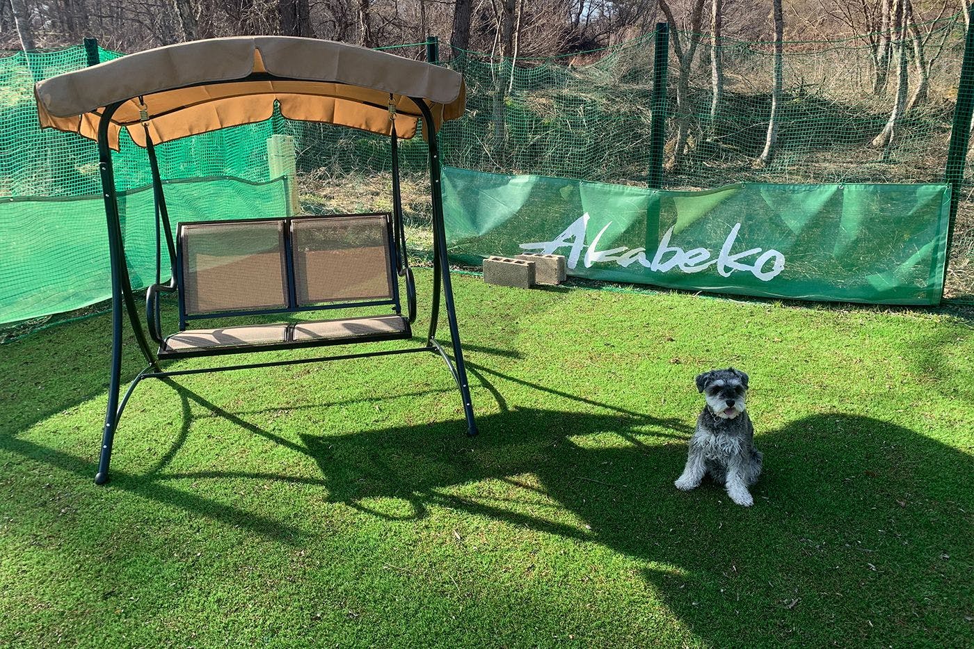 ลานวิ่งเล่นสำหรับสุนัขที่มีหญ้าเทียม