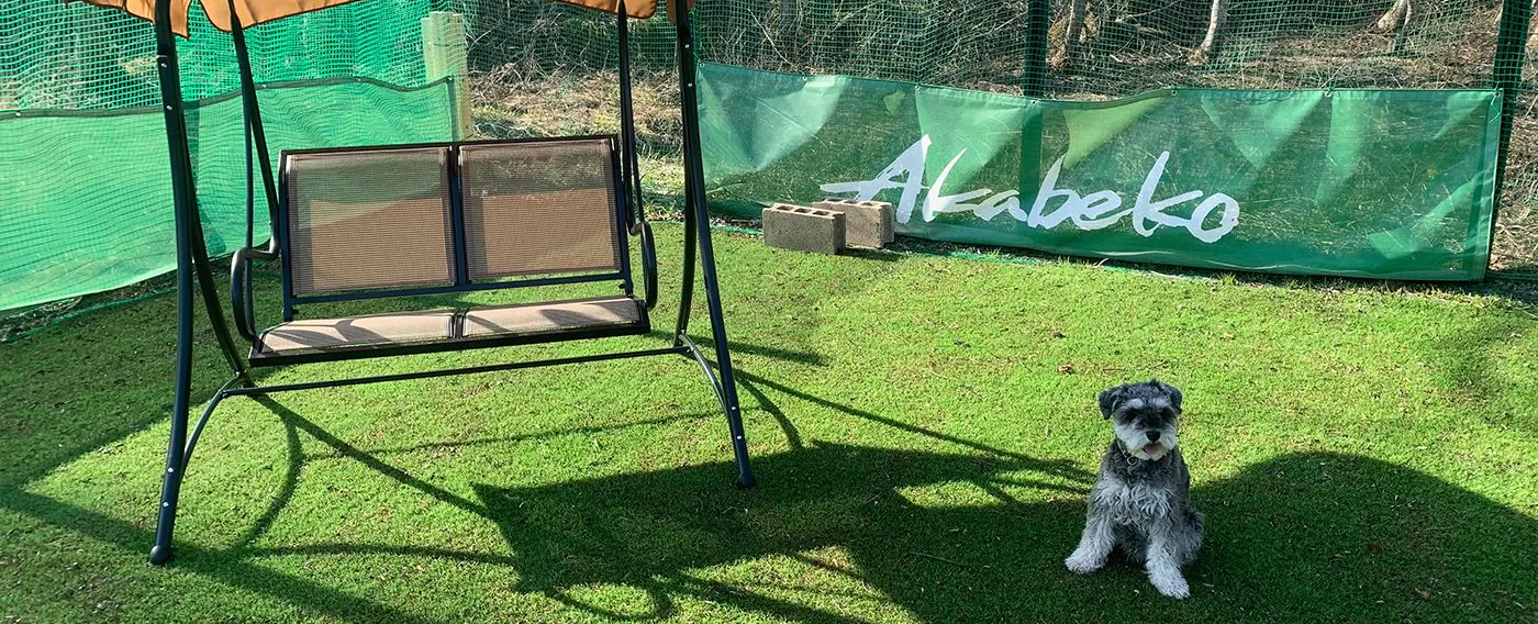 ลานวิ่งเล่นสำหรับสุนัขที่มีหญ้าเทียม