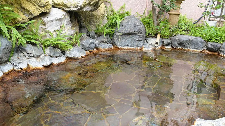Miyazaki Daiichi Hotel <Men's Only Large Bath, Women's Only Stone Sauna Available>