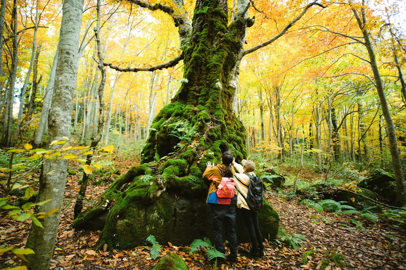 ชิราคามิ ซันจิ