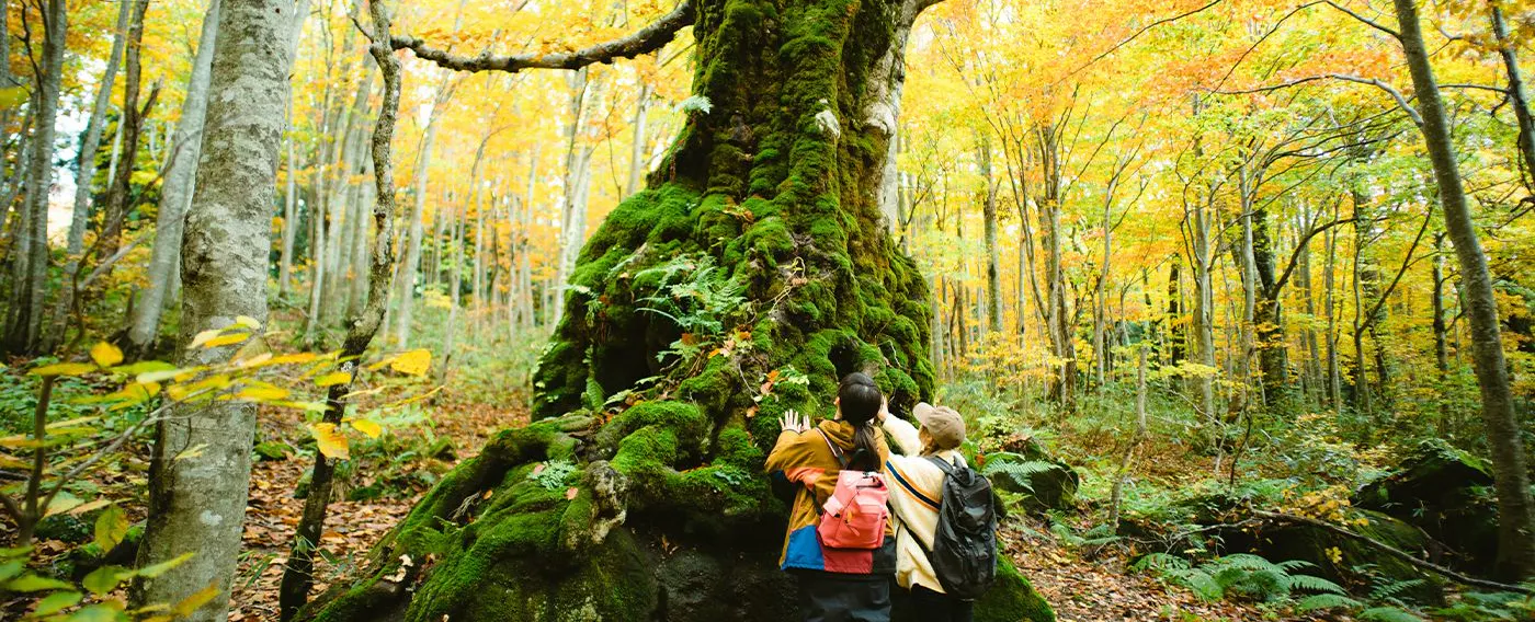 ชิราคามิ ซันจิ